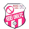 新泻管理大学B队logo