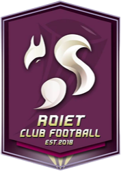罗埃2018logo