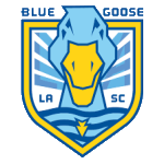 蓝鹅SClogo