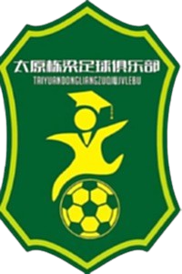 太原栋梁U13logo