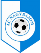 纳吉巴乔米logo
