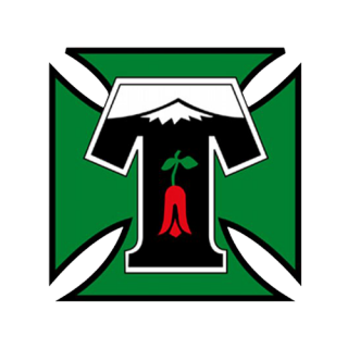 迪帕特斯女足logo