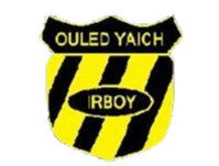 IRB雅伊奇logo