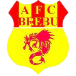 AFC布雷布logo