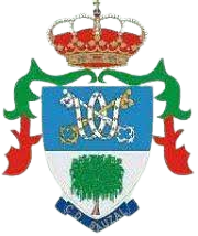 索萨尔logo