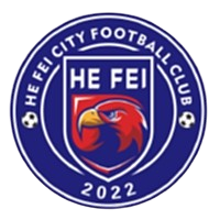 合肥体校U13logo
