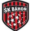 巴洪logo