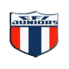 EFI青少年logo