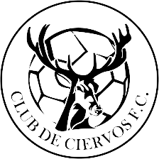 切尔沃FC二队logo