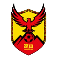 凉山好医生队logo