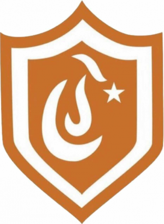 中央大学logo