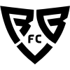 基辅反抗logo