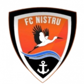尼斯特鲁女足logo