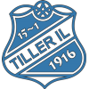 蒂勒U19logo
