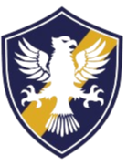 热特巴西U19logo