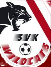 SVK野猫女足logo
