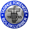 塔辛格logo