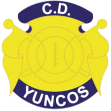 CD云科斯logo