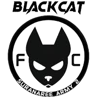 苏拉纳里黑猫logo
