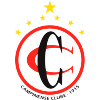 凯平能斯U20logo
