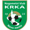 科瑞卡U19logo