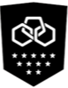 维拉弗登女足logo