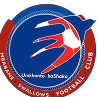 斯沃路斯logo