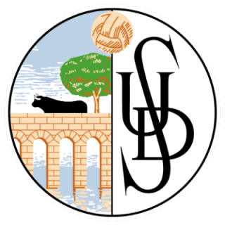 萨拉曼卡联盟logo