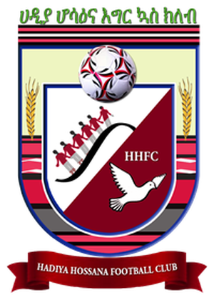 哈迪萨纳logo