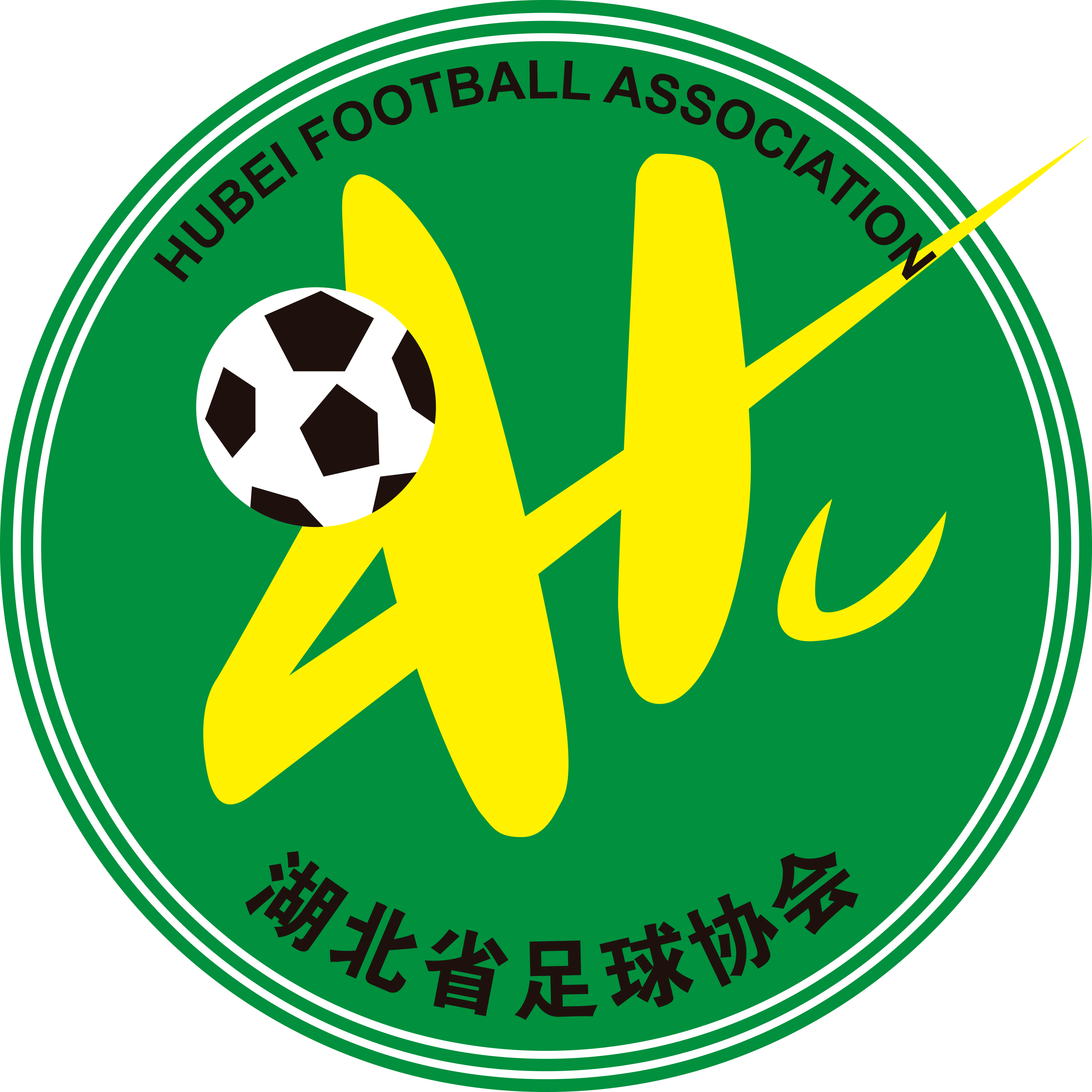 湖北全运女足logo