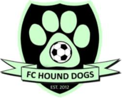 猎犬队logo