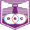 德丰索体育队青年队logo