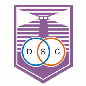 德芬索后备队logo