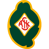 斯柯维德U21logo