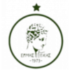 埃米斯埃克索奇斯logo