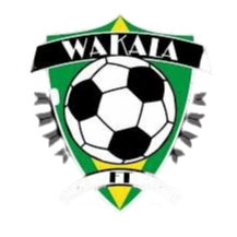 瓦卡拉U19logo