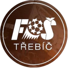 FS特热比奇logo