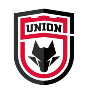 陕西长安联合logo