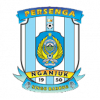 佩尔森加logo