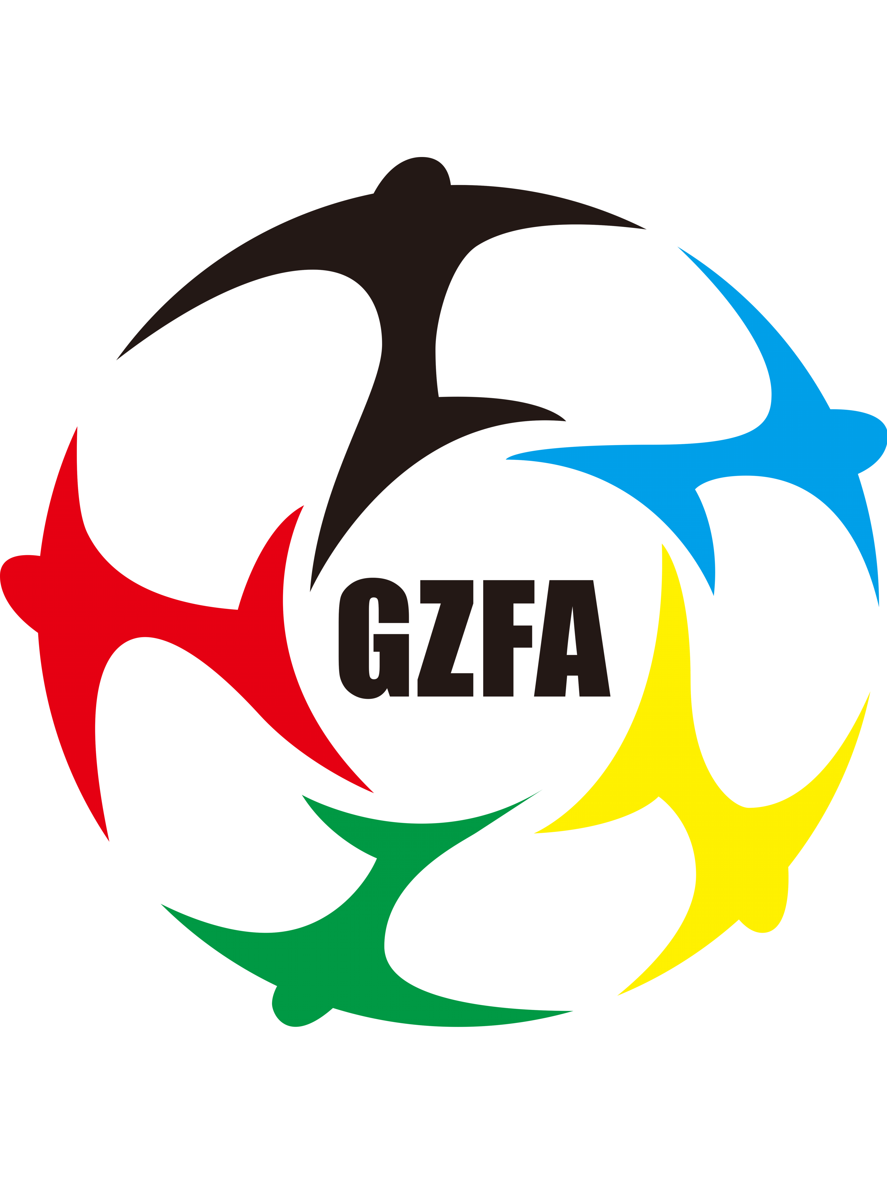 贵州全运女足logo