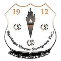 斯普林斯女足logo