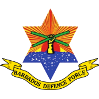 BDF运动logo