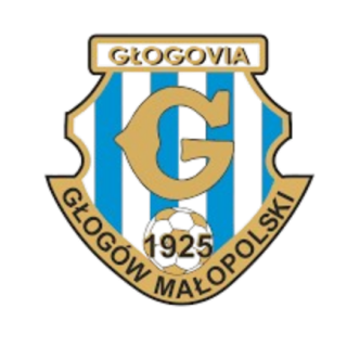 GM格沃古夫logo