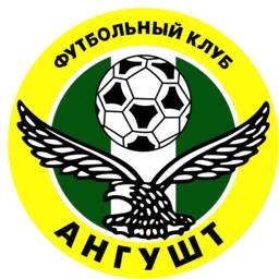 纳兹兰logo