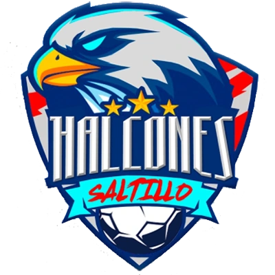 哈尔孔斯萨尔蒂约logo