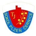 SP塞尔尼斯logo