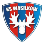瓦西里科夫logo