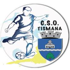 CSO 蒂斯马纳logo