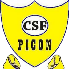 CSF皮孔logo