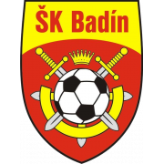 SK巴丁logo